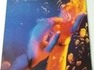 Hothouse Flowers - Songs From The Rain - Vinyl 12