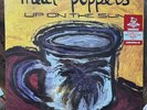 Meat Puppets Up On The Sun Clear, Red & Yellow Swirl Newbury Comics x/500 New