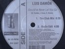 SEALED Luis Damon - Should've Never Let You Go 12
