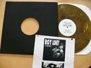 ROY LONEY & THE A-BONES LTD #68/99 GARAGE HARD ROCK PUNK COLOR FLAMIN GROOVIES