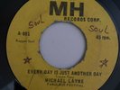 MICHAEL LAYNE & FABULOSOS FESTIVALS - Everyday Is Just Another Day PANAMA SOUL