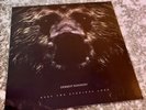 Dermot Kennedy - Keep The Evenings Long - Limited Edition Vinyl