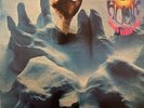 The Hook Will Grab You vinyl LP 1968
