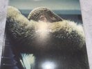 BEYONCE **Lemonade [180 Gram] [Yellow Vinyl] **DOUBLE RECORD LP VINYL