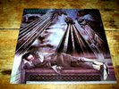 STEELY DAN ( THE ROYAL SCAM ) ORIG 1976 VINYL LP w/ Bernard Purdie VG++
