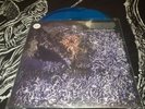 OF FEATHER AND BONE Sulphuric Disintegration 1/400 COLOR vinyl LP death metal