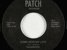 Hard Rock Psych 45 - Roadwork - Come Into My Life - Patch - VG++ mp3 - obscure
