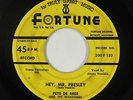 Rockabilly 45 - Pete De Bree & the Wanderers - Hey, Mr. Presley - Fortune - mp3