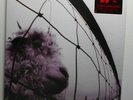 Pearl Jam          vs.     180g vinyl      sealed copy