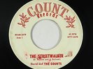 Garage R&B Mod 45 - David & The Counts - The Streetwalker - Count - mp3