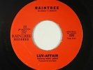 Garage Soul Funk 45 - Luv-Affair - Raintree - Raintree - VG+ mp3 - unknown?