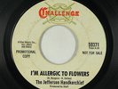 Psych Fuzz 45 - Jefferson Handkerchief - I'm Allergic To Flowers - Challenge mp3