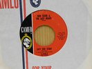 Bob Seger N The Last Heard rock 45 East Side Story on Cameo