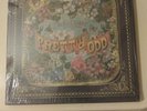Panic At the Disco - Pretty Odd RARE BOX SET SEALED VINYL LP