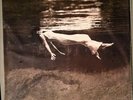 Jim Hall/Bill Evans - Undercurrent - Vinyl LP MFSL MOFI Mobile Fidelity - Sealed