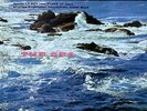RCA | Munch, Boston Symphony Orchestra - Debussy: La Mer/Ibert: Port Of Call LP