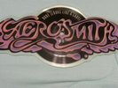 Aerosmith Logo Picture Disc 45 record Dude Looks Like A Lady   Monkey On My Back