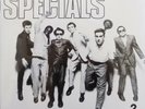 The SPECIALS LP x 2 Best Of Specials DOUBLE VINYL 20 Track 2019 Greatest Hits Ne