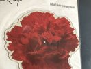 QUIREBOYS I DON'T LOVE YOU ANYMORE LONDON QUIREBOYS VINTAGE VINYL PIC DISC SHAPE