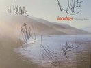 Incubus Vinyl Morning View Signed Autographed by band 2001