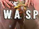 W.A.S.P. - Animal (F**k Like A Beast) Show No Mercy 12