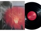 PORCUPINE TREE -  Lightbulb Sun 2 LPs Gatefold Vinyl Tonefloat Records EX