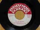 Lee Andrews N The Hearts Doo Wop 45 Try The Impossible bw Nobodys Home on Casino