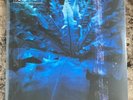 Hum-Downward Is Heavenward 2LP Vinyl