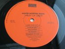 Mandy Morton Band ( Spriguns ) VALLEY OF LIGHT 1983 UK LP 1st BANSHEE NEAR MINT