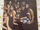 The Jimi Hendrix Experience Electric Ladyland Rare LP 1968 Gatefold POLYDOR G/F