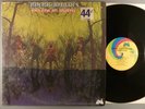 American Blues  Do Their Thing   RARE LP   Pre ZZ Top  Psych; Blues Rock; Garage