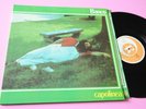 BANCO LP CAPOLINEA ORIG ITALY PROG 1980 EX GATEFO0LD COVER