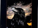 The Stranglers The Raven UK LP Vinyl Album 1979 UAG30262 United Artists 33 EX