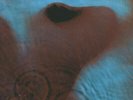 Pink Floyd - Meddle - Vinyl Record.. - e13957e