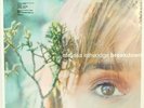 Melissa Etheridge • Breakdown • Brand NEW • vinyl record LP • OOP Factory SEALED