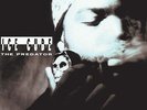 Ice Cube The Predator VINYL LP Records