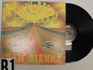 Savoy Brown Raw Sienna promo Psych Record lp original vinyl album