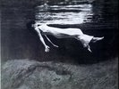Bill Evans - Jim Hall ‎– Undercurrent : Mobile Fidelity MFSL VINYL LP *SEALED*