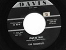 Doo Wop 45 THE CHESTNUTS 