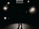 DOVES-LOST SOULS (2LP) VINYL NEUF