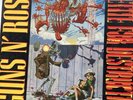 guns n roses appetite for destruction vinyl