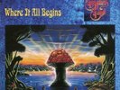The Allman Brothers Band - Where It All Begins - Music on Vinyl LP