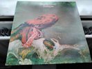GENTLE GIANT - OCTOPUS VERTIGO SWIRL 1ST UK PRESS EX/EX+ Pink Floyd