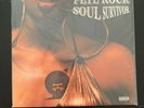 Pete Rock - Soul Survivor 2xLP OG 1st press Raekwon Ghostface Killah Big Pun