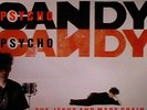 JESUS & MARY CHAIN, The - Psychocandy - Vinyl (heavyweight vinyl LP)