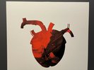 3d Del Naja Vinyl Martina Topley Like Banksy