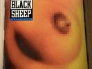 Black Sheep Similak Child / Still In The Ghetto Vinyl 12”