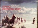Catatonia - International Velvet Ltd Album + Ltd 12