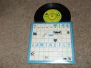 WIRE = I AM THE FLY  RARE 1978 UK PROMOTIONAL 7inch PICTURE SLEEVE EDITION