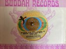 Sharon Ridley Scandal In Bedrock 45 Sussex 1971 Where Did You Northern Soul NM-